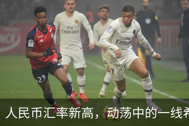 人民币汇率新高，动荡中的一线希望与哭笑不得的故事